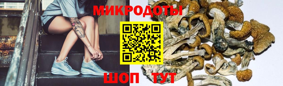 Галлюциногенные грибы прущие грибы  Вход с VPN  Еманжелинск 